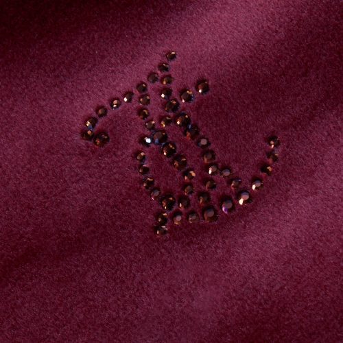 JEWEL ROBERTSON HOODIE JCBAS224814 85 TAWNY PORT 0004 Layer 1